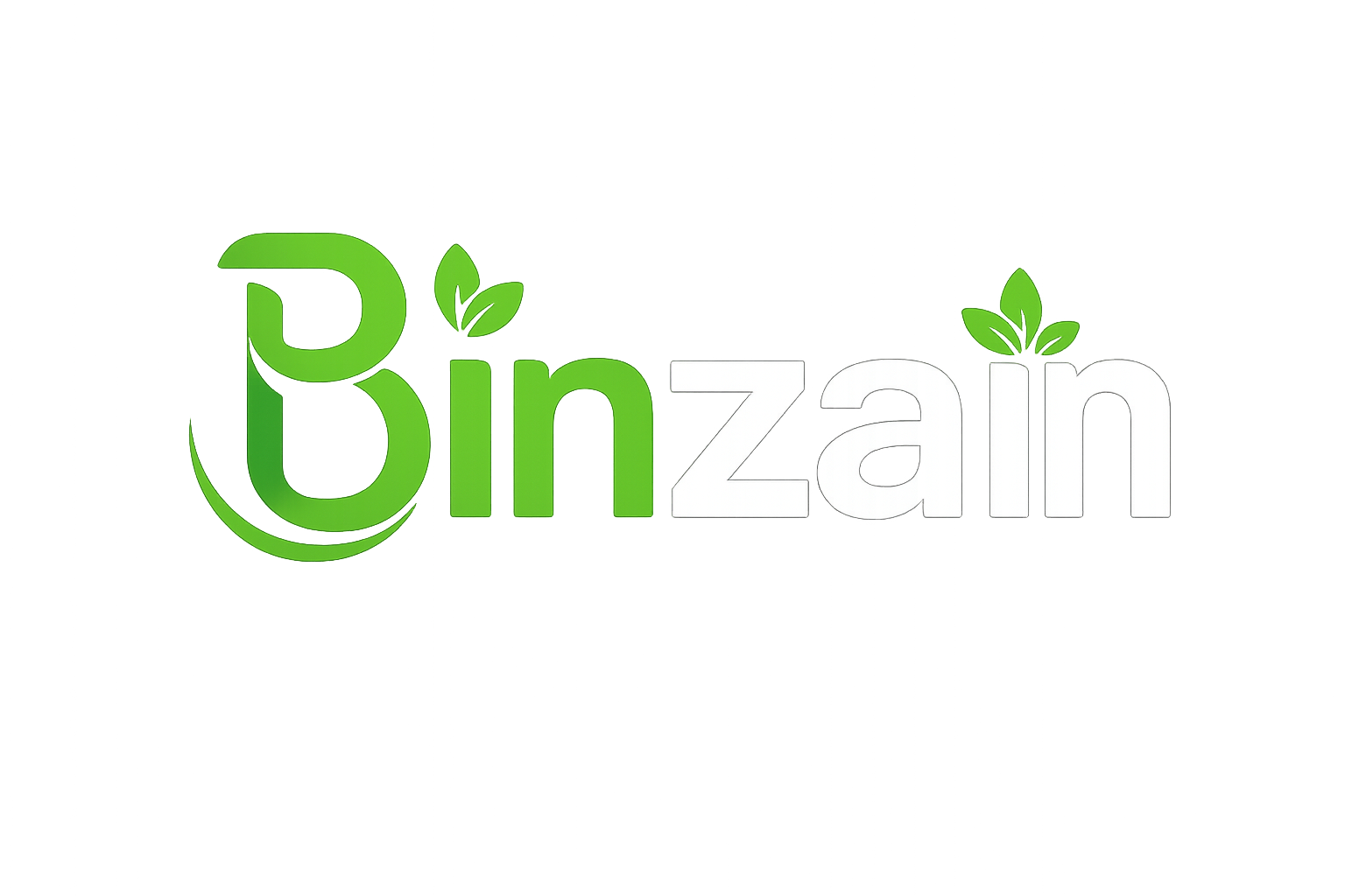 binzain.com