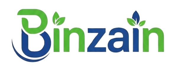 binzain.com